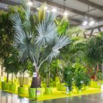 Myplant, la feria del sector verde de Italia, mira fuera de las fronteras