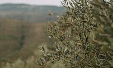 Agricultura a prueba de estrés: Cynoyl Z Special